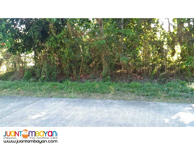 Farm Lot 650 per sqm at Amadeo Cavite 7.3 Hectares