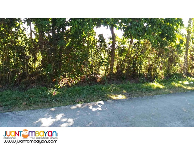 Farm Lot 650 per sqm at Amadeo Cavite 7.3 Hectares
