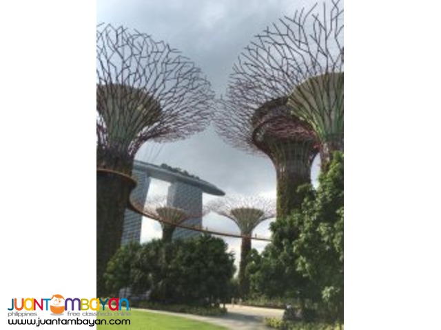 Colorful Cultures, Singapore tour package