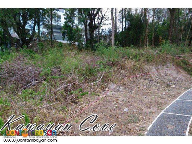 Lot For Sale in Kawayan Cove, Nasugbu, Batangas