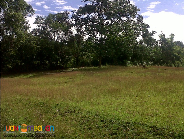 Hacienda Sta Monica Lipa City Batangas Lot 1500 per sqm