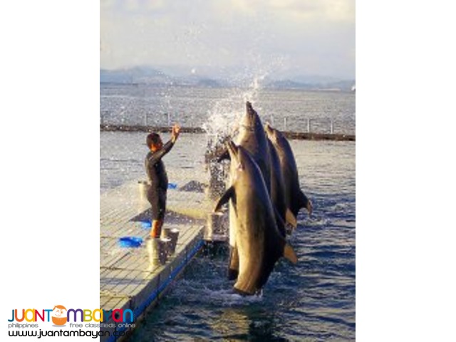 Subic tour package 1, Best Western Plus Subic tour package 1, Best Western Plus