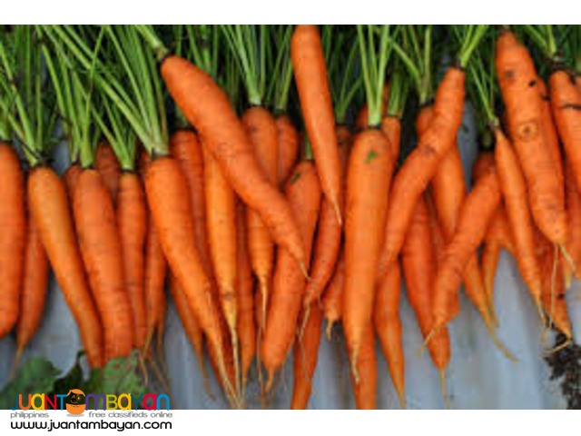 baguio vegetables and herbs supplier/wholesaler