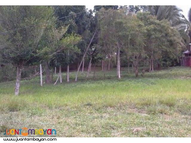 lot in cavite, laguna lot in cavite, laguna