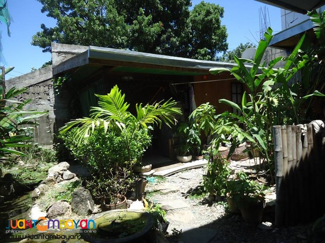 For Rent Furnished House in Capitol Cebu City - 2 Bedrooms