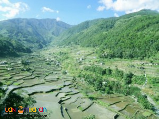 Handcarved and Hand-wooven, Banaue Tour