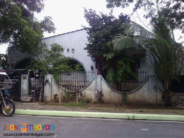 Country Homes pre-owned Lot for sale in Felix Ave. Cainta, Rizal