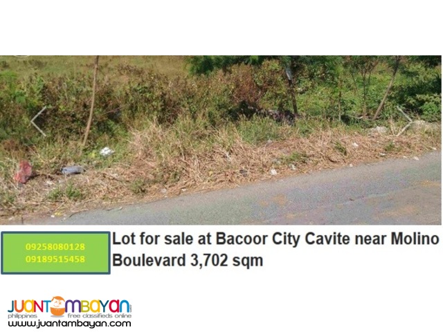 Lot for sale at Bacoor City Cavite near Molino Boulevard 3,702 sqm