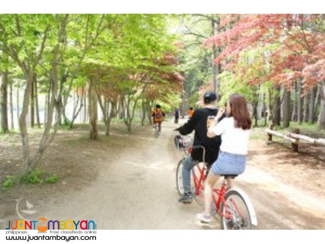 Korea tour package - Nami Island, Winter Sonata location shoot