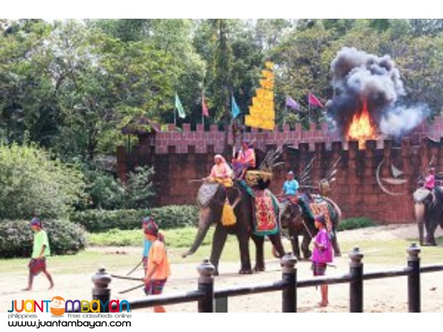 Elephant show, Bangkok tour package 