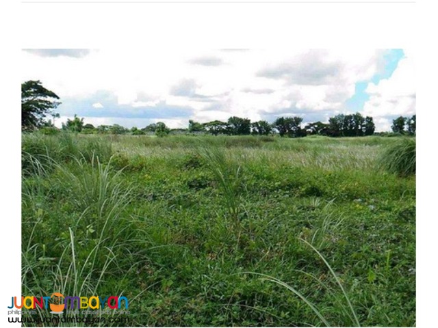 Industrial Lot for sale at Gen Trias Cavite PEZA