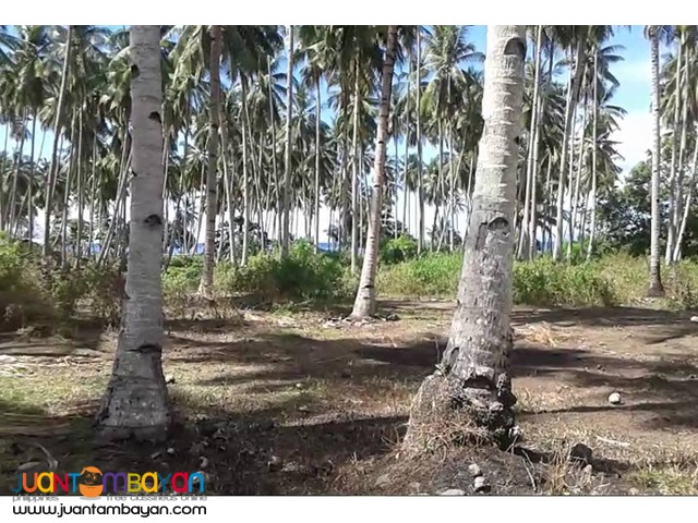 Affordable Beach Lot for sale in Medina Misamis Orienta