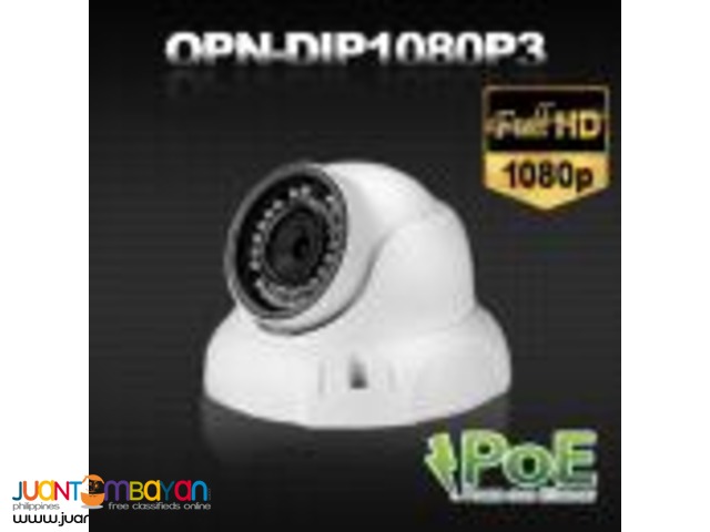 Korean CCTV DIP1080P3 2Megapixel IP Dome Camera