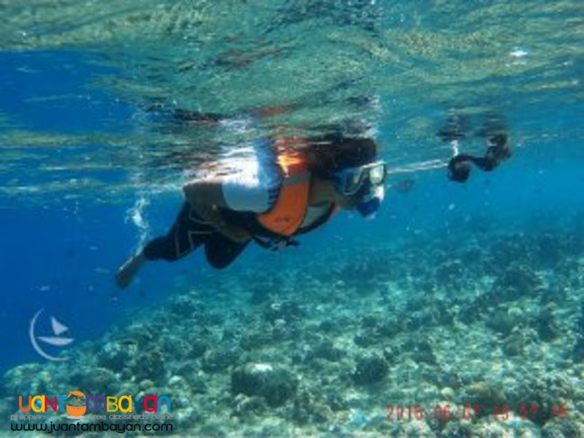 Magnificent Sea Heaven, Bohol tour package