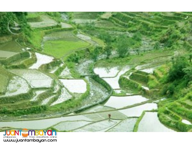 Banaue tour, widely known as UNESCO World Heritage site