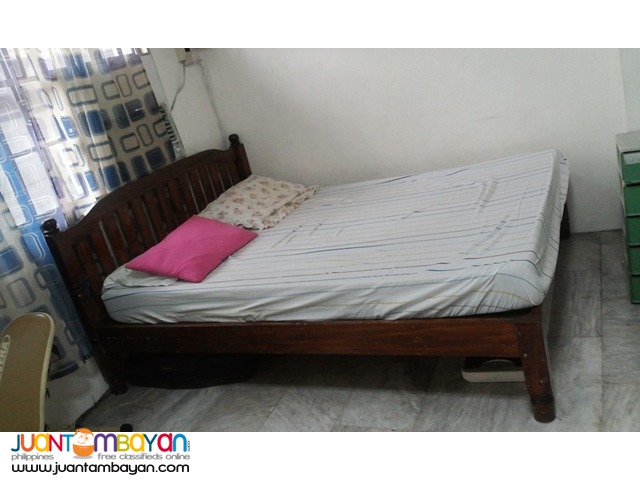Used - Queen Size Bed with Foam (Wood: Palochina)