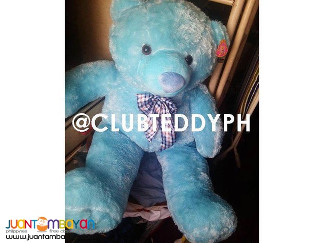 2.5 feet teddy bear price