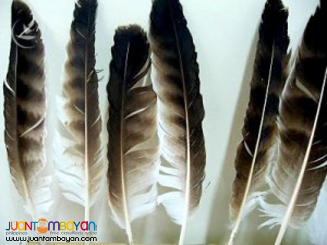Davao tour packages, home to the Philippines new president Davao tour packages, home to the Philippines new president