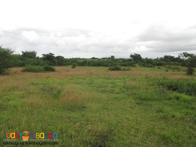 Agricultural Land in Taysan, Batangas