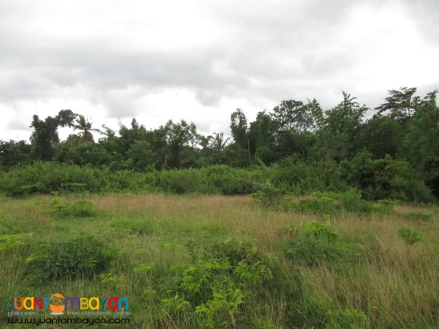 Agricultural Land in Taysan, Batangas