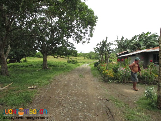 Agricultural Land in Taysan, Batangas