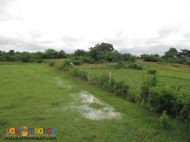 Agricultural Land in Taysan, Batangas