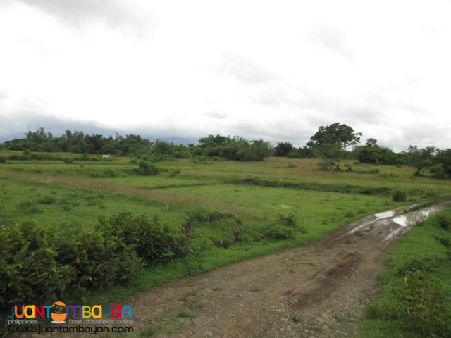 Agricultural Land in Taysan, Batangas
