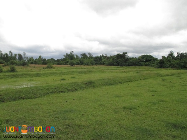 Agricultural Land in Taysan, Batangas