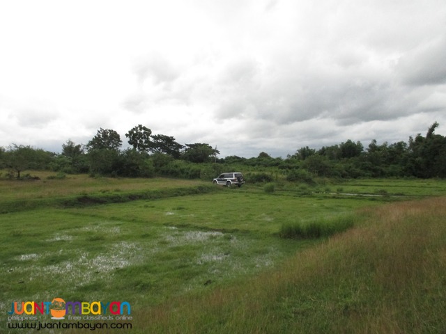 Agricultural Land in Taysan, Batangas