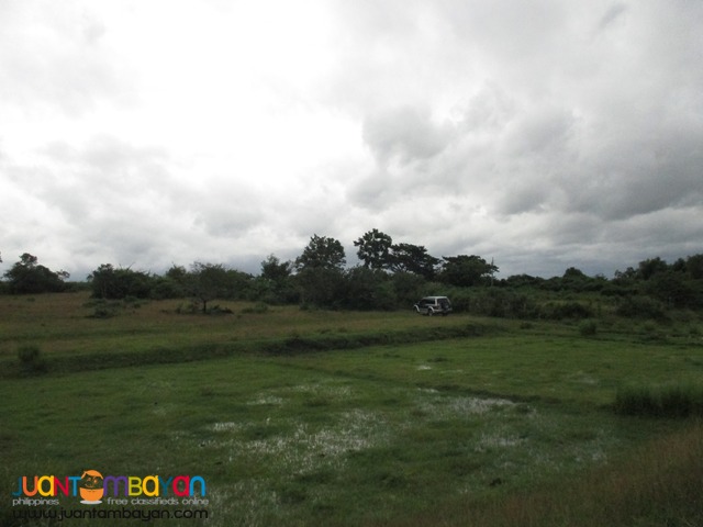 Agricultural Land in Taysan, Batangas
