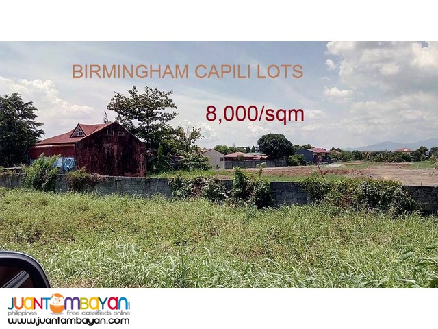 Birmingham Capili Lots for SALE 8,000/sqm only