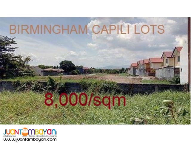 Birmingham Capili Lots for SALE 8,000/sqm only