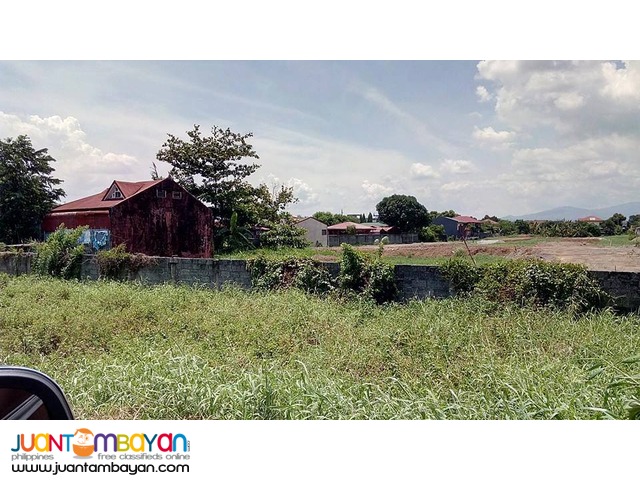 Birmingham Capili Lots for SALE 8,000/sqm only