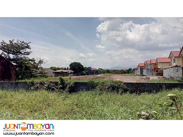 Birmingham Capili Lots for SALE 8,000/sqm only