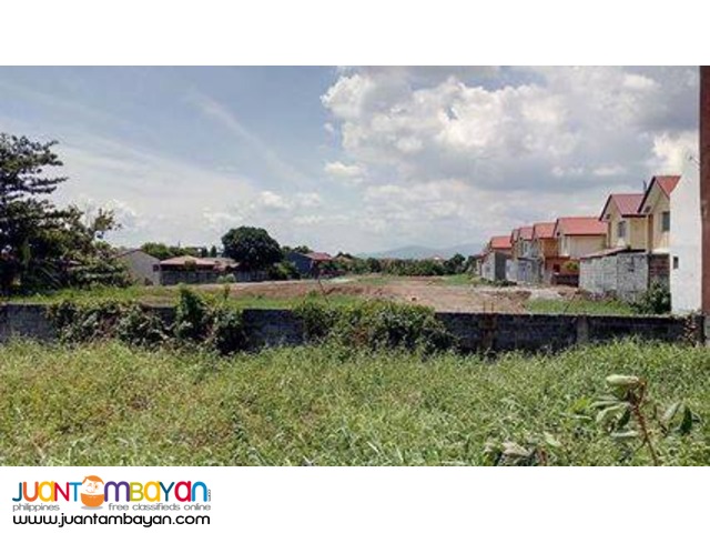 Birmingham Capili Lots for SALE 8,000/sqm only