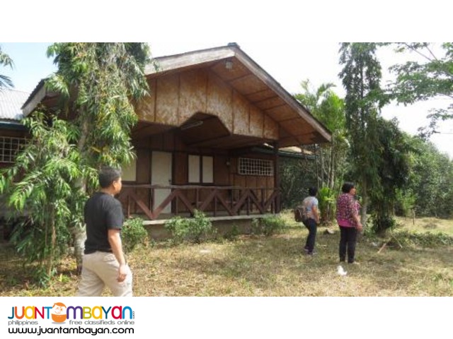 12196sqm mango farm for 7.5M