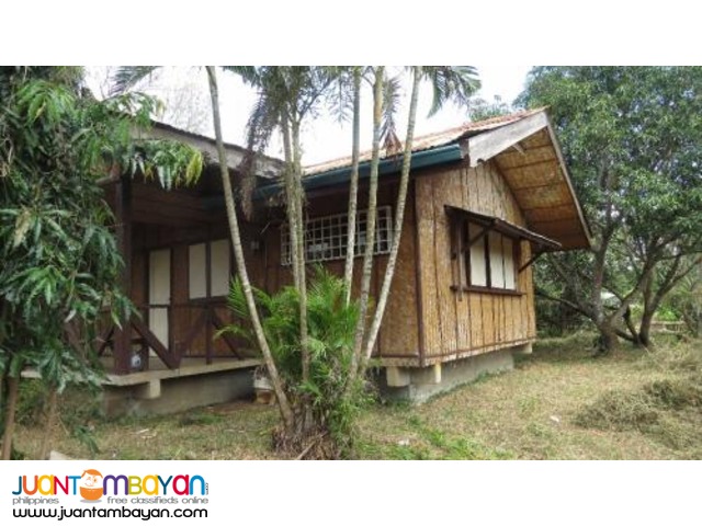 12196sqm mango farm for 7.5M