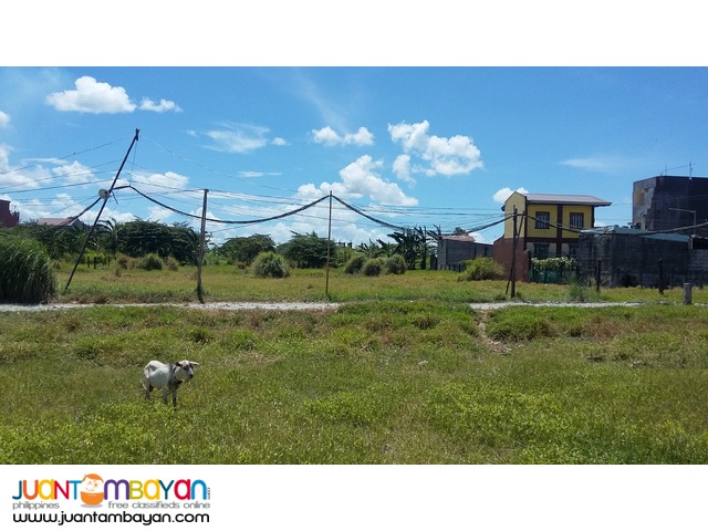 C6 2933sqm vacant land for sale 6M