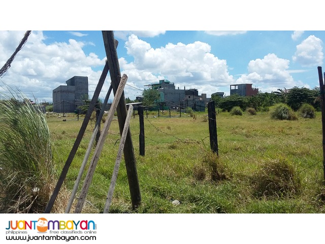 C6 2933sqm vacant land for sale 6M