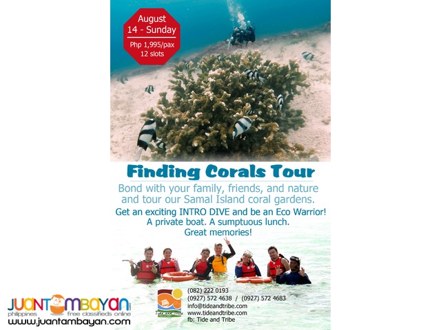 Finding Corals - August 14 Finding Corals - August 14