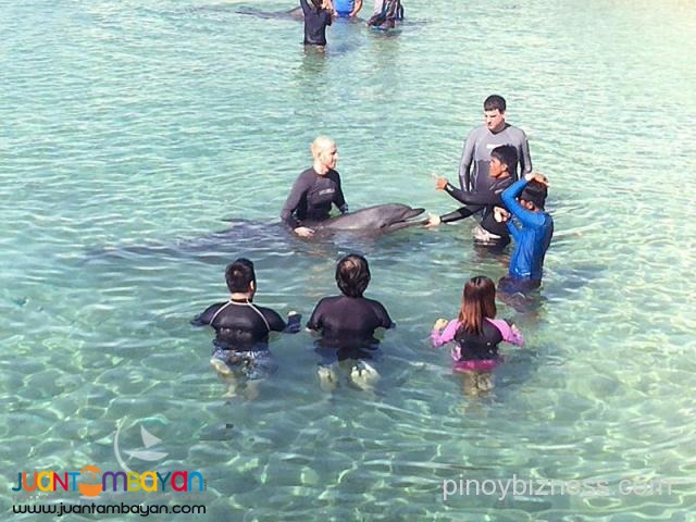 Subic tour package, a fun trip to Zoobic and Ocean Adventure