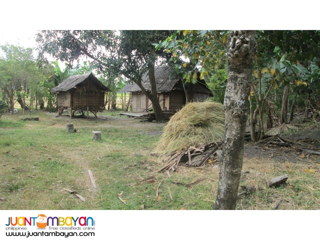 Ricefield for Sale in Siaton, 4374 sqm.