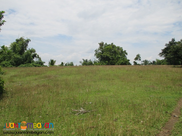 Agricutural Land in Barangay Gonzales, Tanauan City, Batangas
