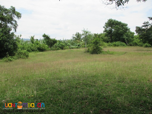 Agricutural Land in Barangay Gonzales, Tanauan City, Batangas