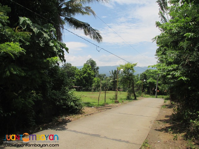 Agricutural Land in Barangay Gonzales, Tanauan City, Batangas