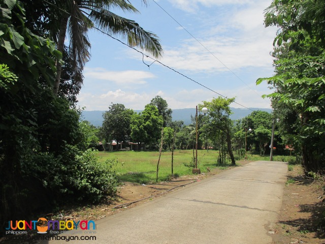 Agricutural Land in Barangay Gonzales, Tanauan City, Batangas