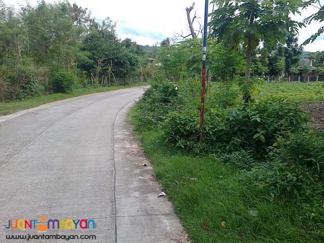 Agricultural /Residential Land in Barangay Gonzales, Tanauan, Batangas