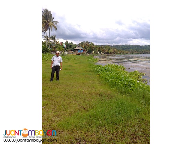 Agricultural /Residential Land in Barangay Gonzales, Tanauan, Batangas