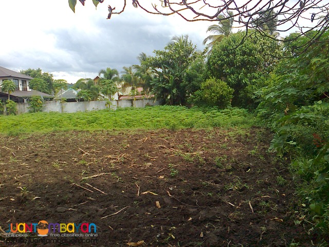 Agricultural /Residential Land in Barangay Gonzales, Tanauan, Batangas