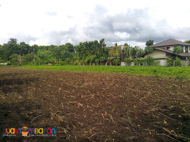 Agricultural /Residential Land in Barangay Gonzales, Tanauan, Batangas